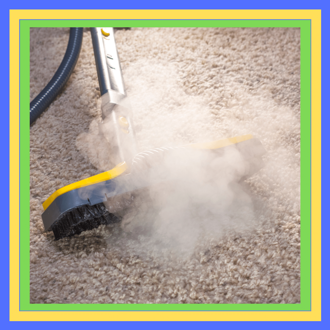 Steam Carpet Cleaning Robina