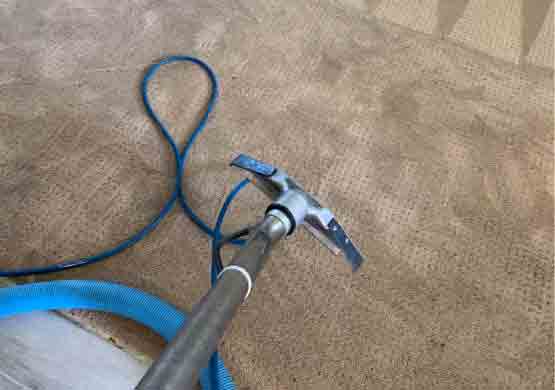 Best Carpet Cleaning Robina