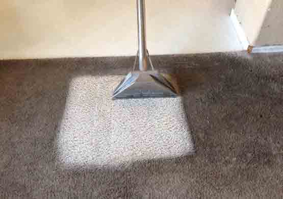 Professional Carpet Cleaning Robina
